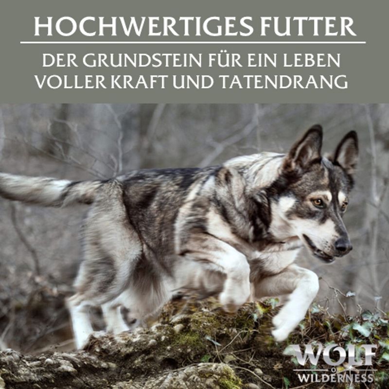 Sparpaket Wolf of Wilderness Adult Single Protein 24 x 150 g Schale