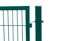 Home Deluxe Doppelflügel Gartentor ADITUS grün - 160 x 350 cm