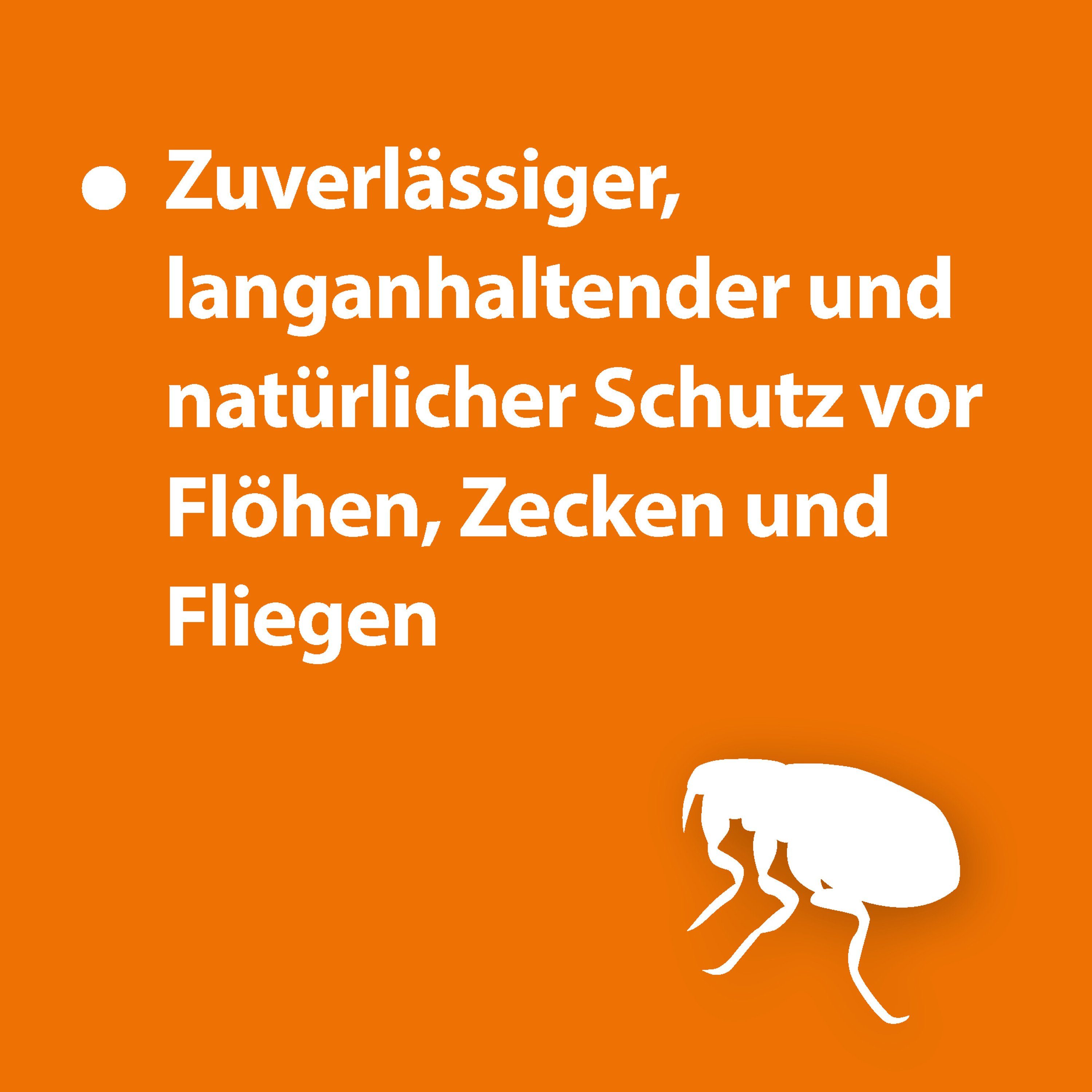 Ardap Insektenspray ARDAP® Flohspray zur Anwendung am Tier 250ml
