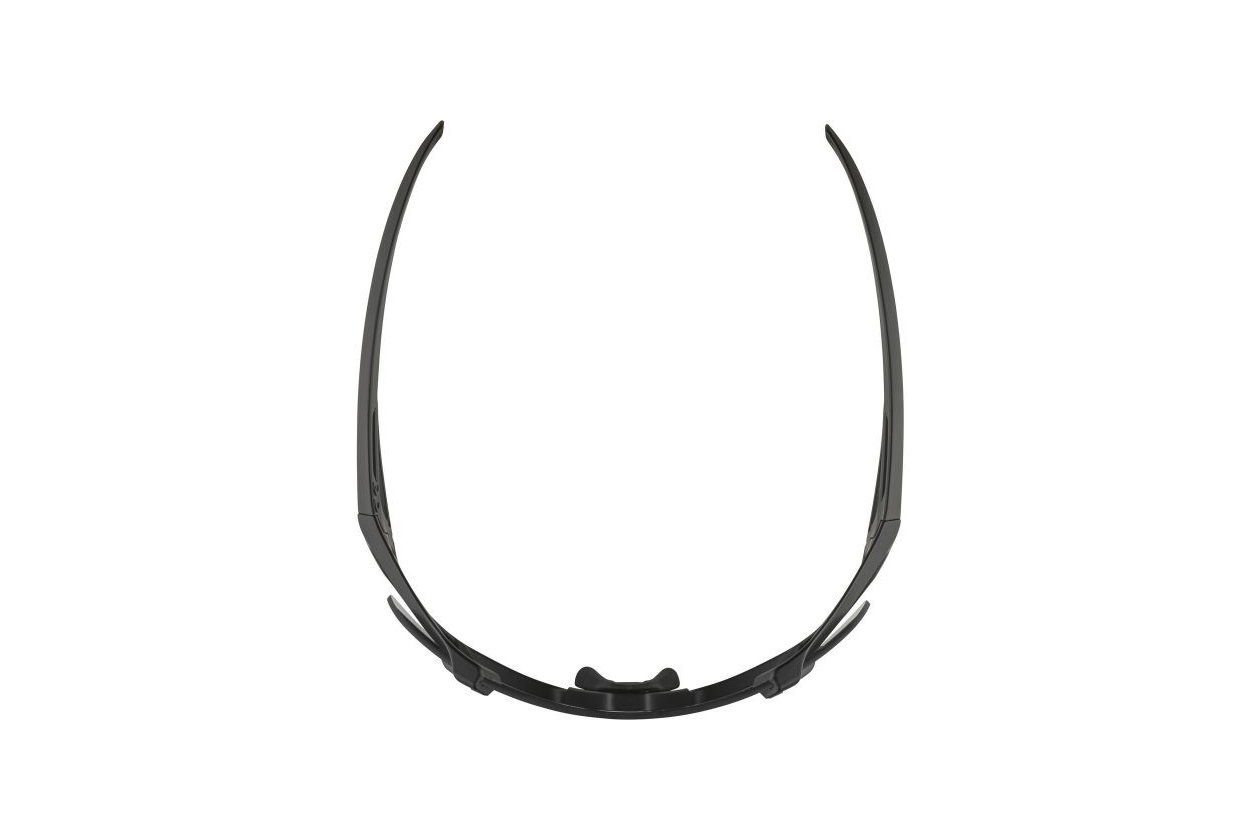 Alpina Hawkeye all black matt / black mirror lens