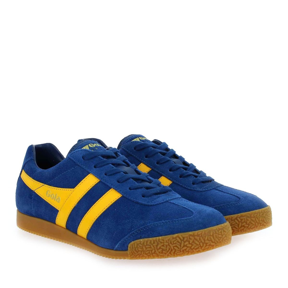 Gola  HARRIER GOLA CMA192 - Bleu Jaune