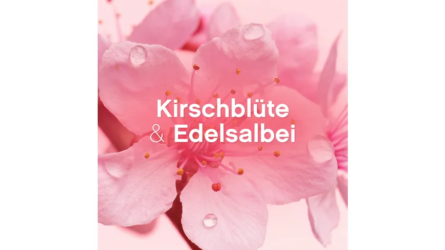 Lenor Weichspüler Konzentrat Kirschblüte & Edelsalbei 32WL 800 ml