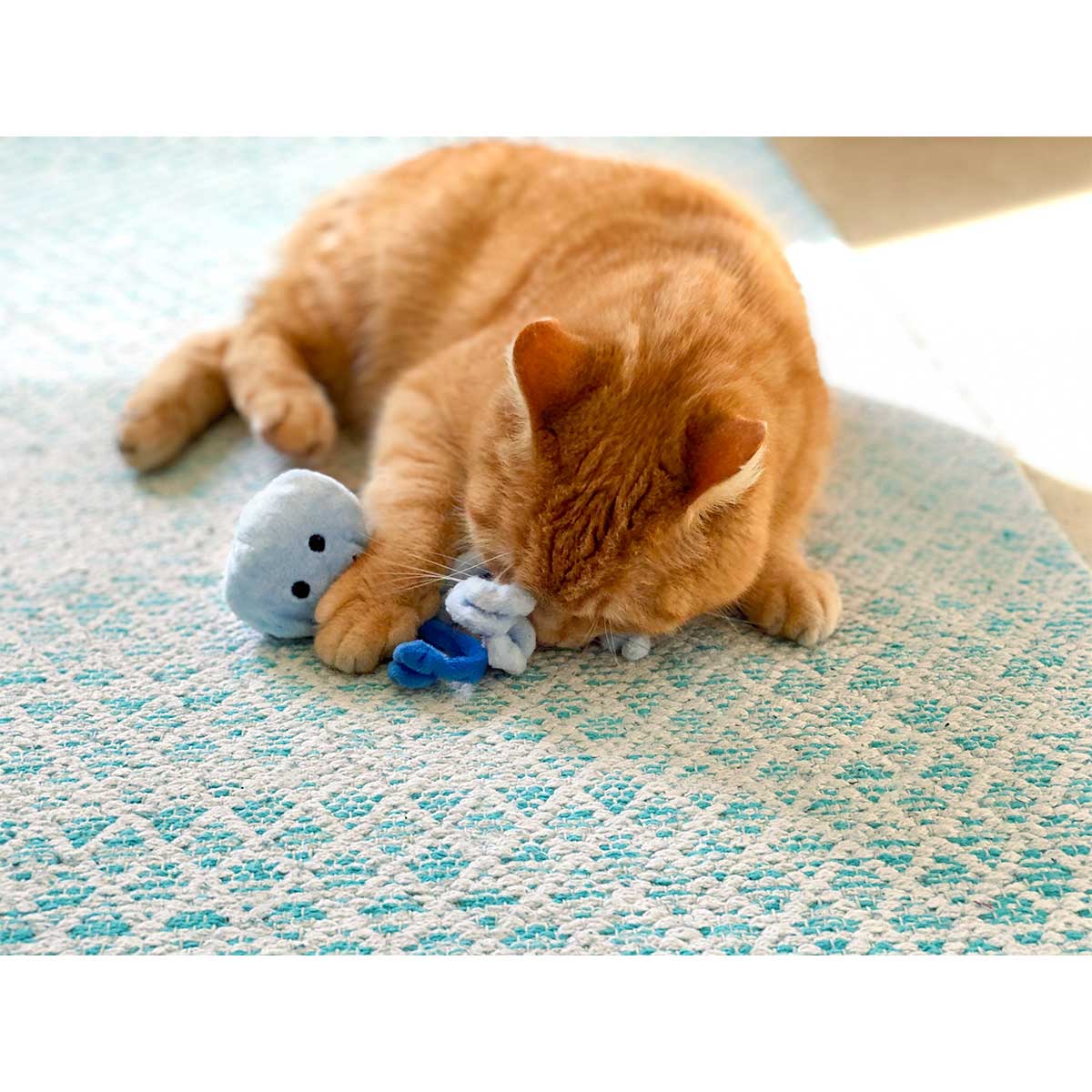 Aumüller Katzenspielkissen Qualle Jelly kaufen