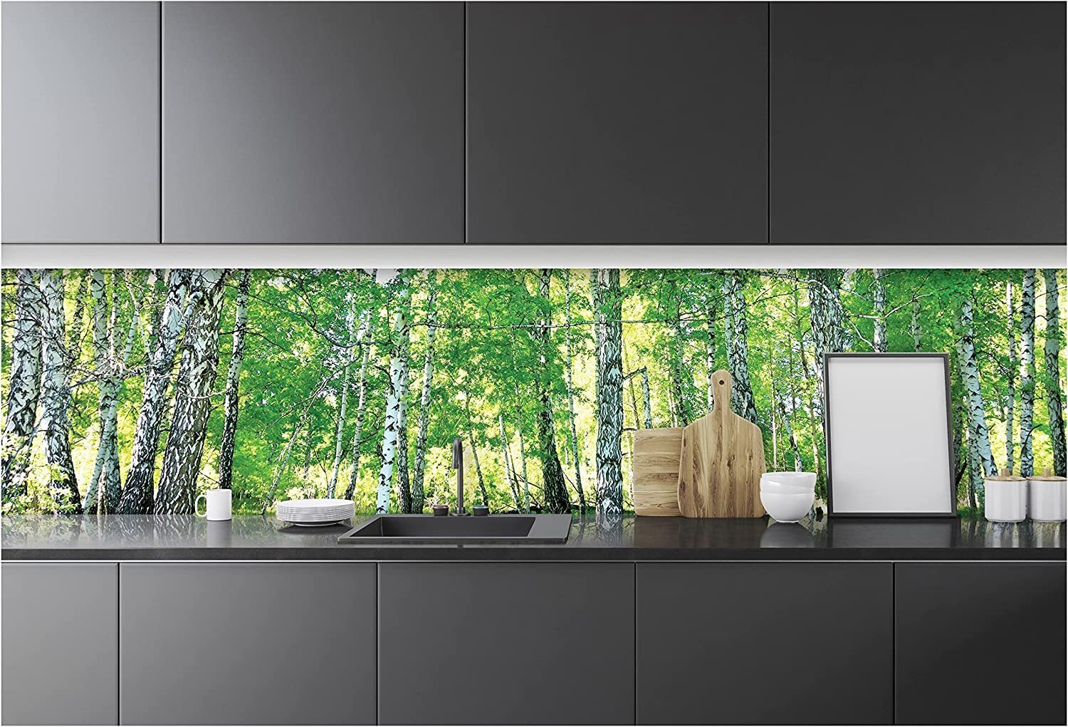 Wallarena Fototapete Küche Abwaschbar 250x60 cm Vlies Tapete Wandtapete Einteilig Küchenrückwand Küchentapete Küchentapete, Glatt, Wald, Birkenwald, Vliestapete inklusive Kleister