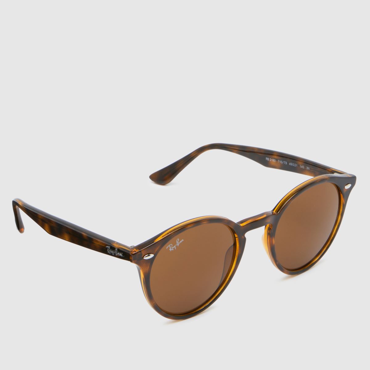 Ray-Ban bruna klassiska solglasögon för vardagsbruk