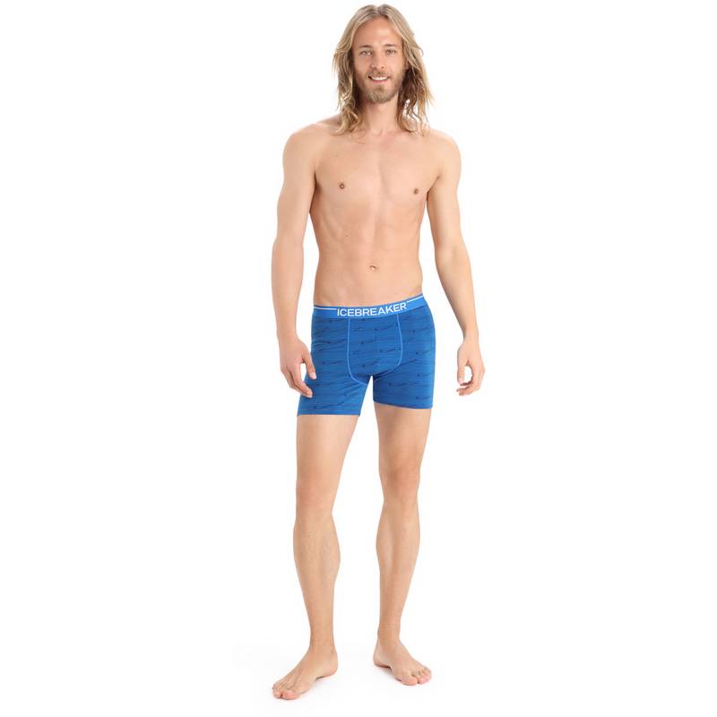 Icebreaker Anatomica Unterhose Herren