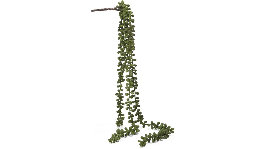 GILDE Agavenzweig Asia Deko H=70cm