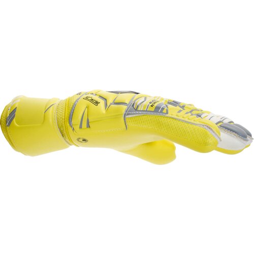 HERREN TORWARTHANDSCHUHE ELIMINATOR ABSOLUTGRIP HN