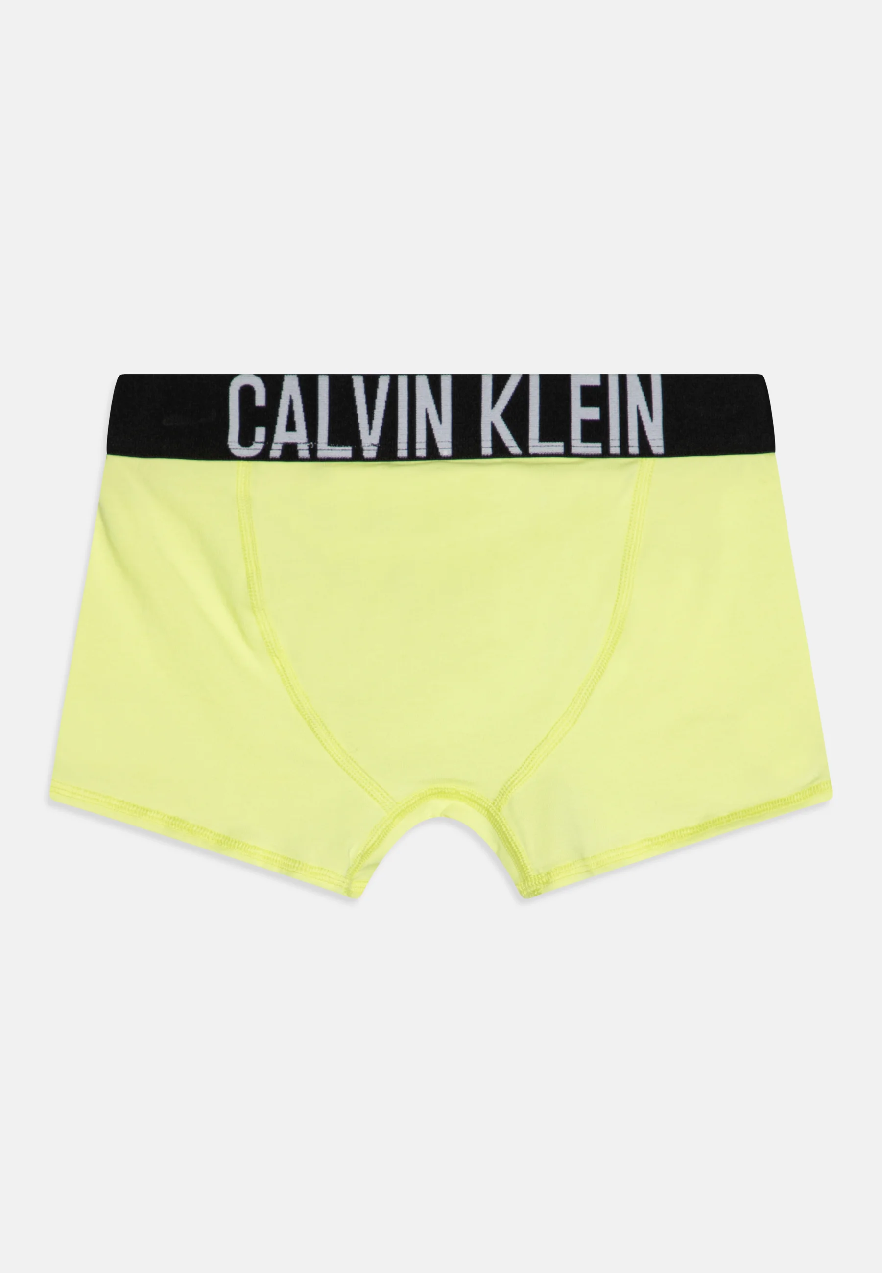 Calvin Klein Underwear TRUNK PACK DE 2 - Culotte