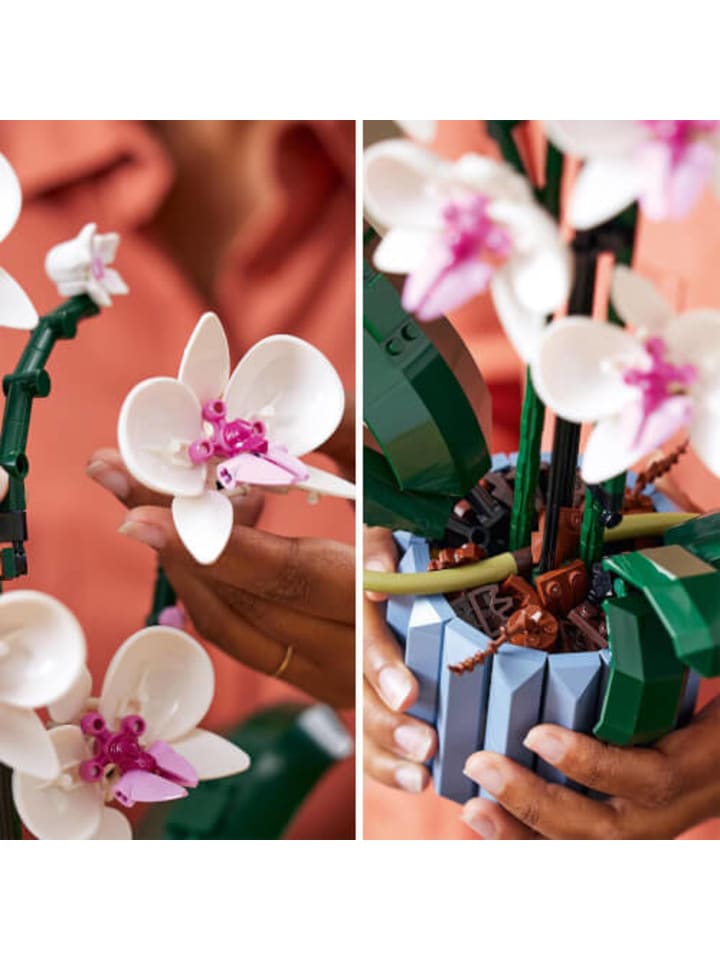 LEGO Bausteine Creator 10311 Orchidee günstig kaufen onesize