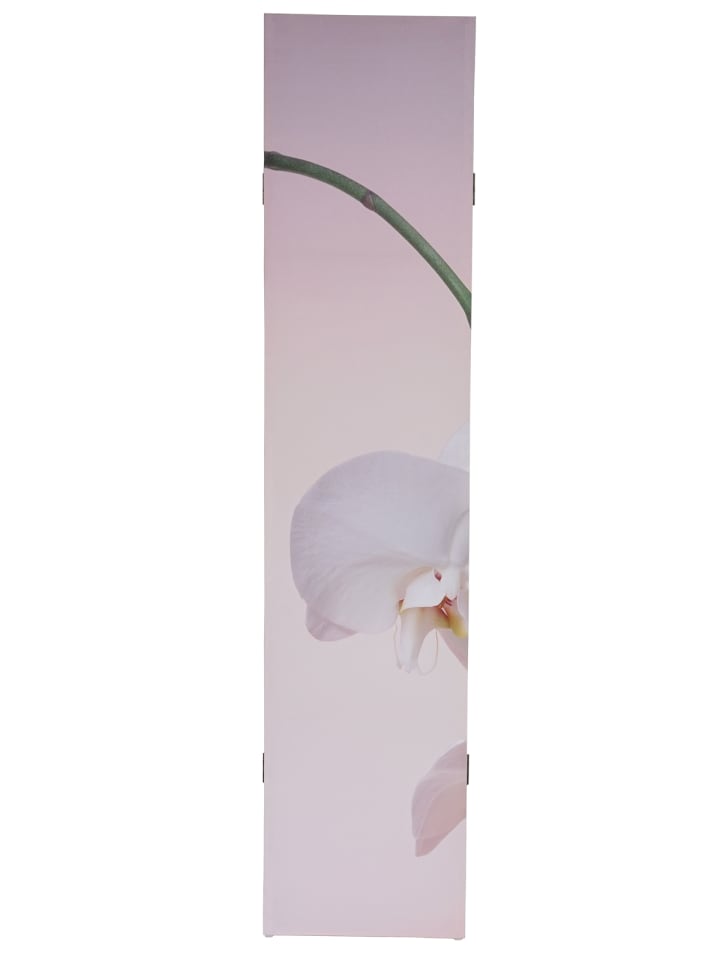 MCW Foto-Paravent Bagheria, Orchidee günstig kaufen onesize