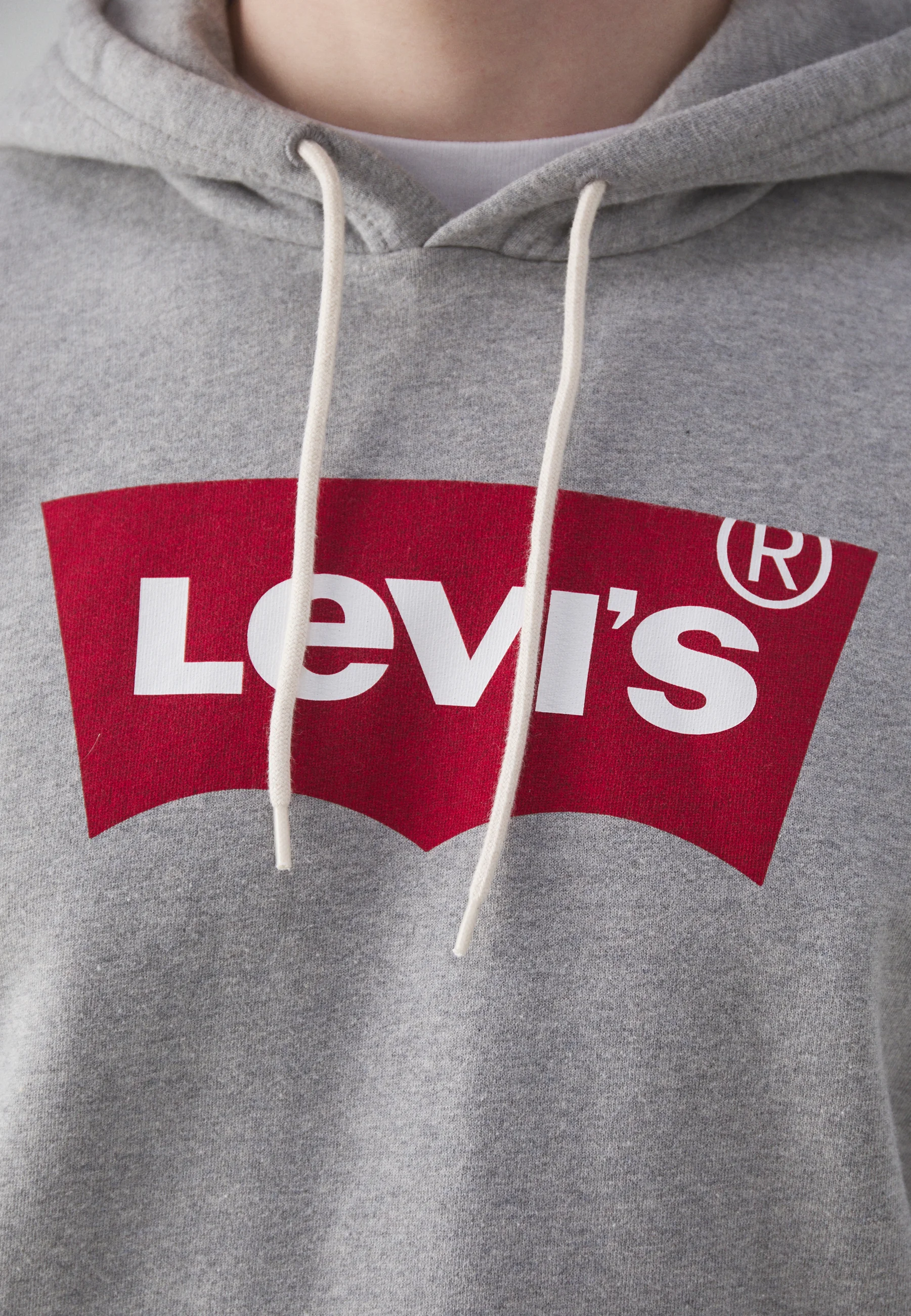 Sudadera con capucha Levi's® STANDARD GRAPHIC - Sudadera con capucha