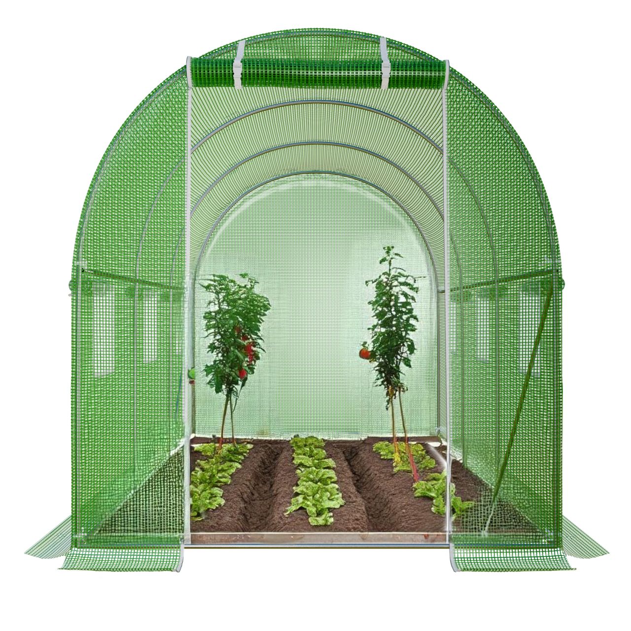 TroniTechnik GARMIO® Foliengewächshaus CICATA, Tomatenzelt, winterfest, 3x2x2m, Frühbeet, Pflanzenhaus