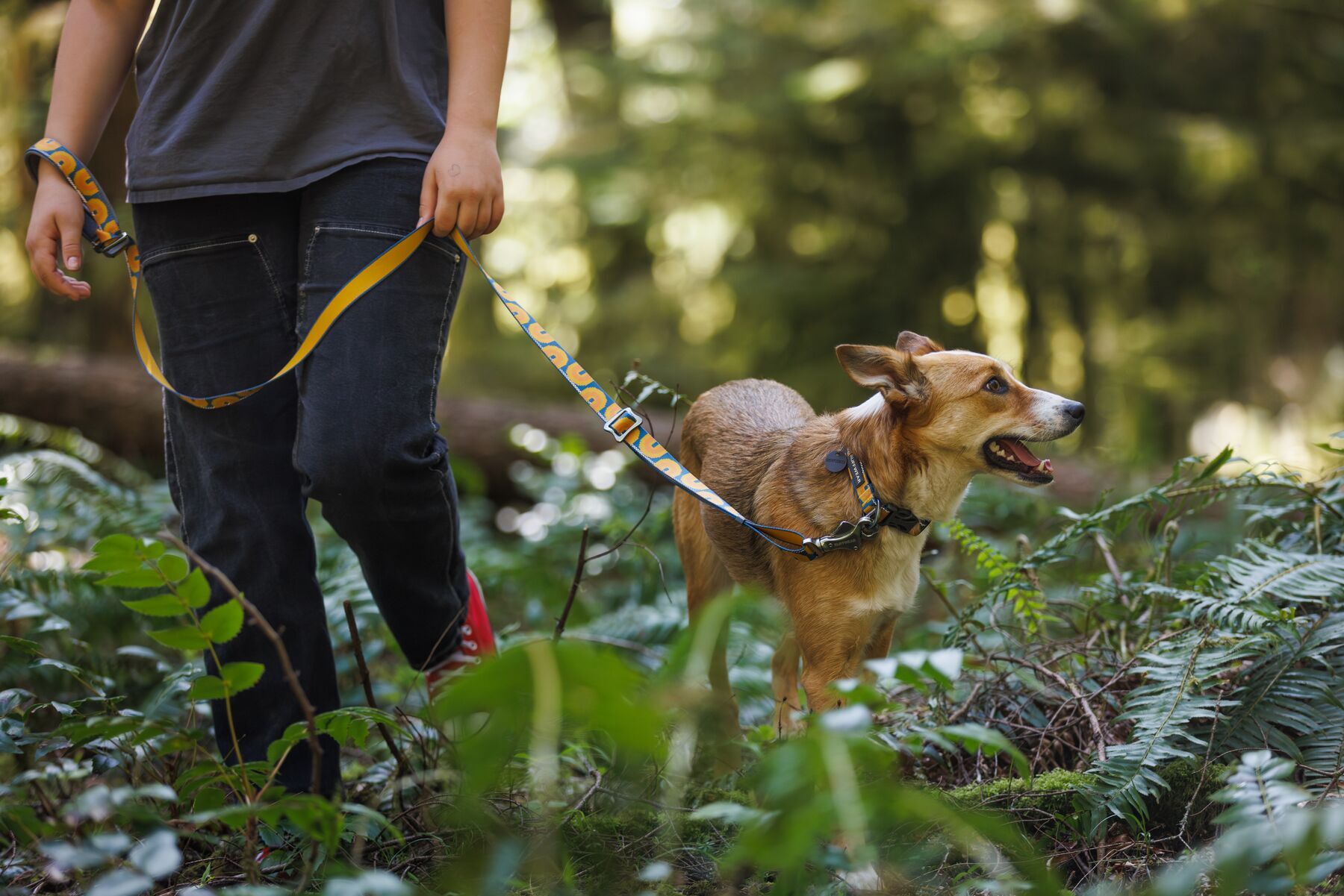 Ruffwear Hundeleinen Ruffwear Verstellbare Hundeleine Crag EX™ navy