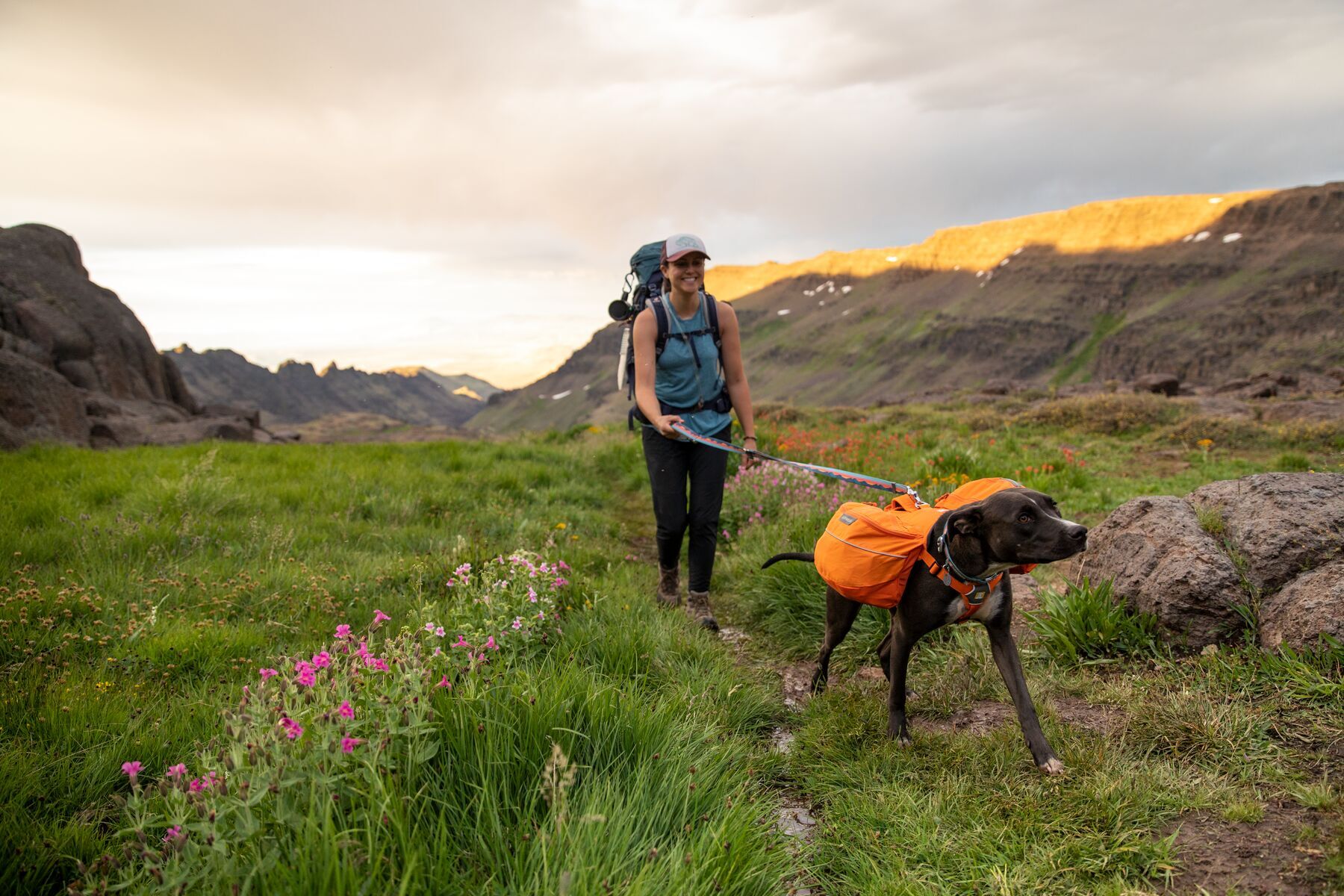 Ruffwear Hundeleinen Ruffwear Crag™ Leine blau/ türkis/ rosa