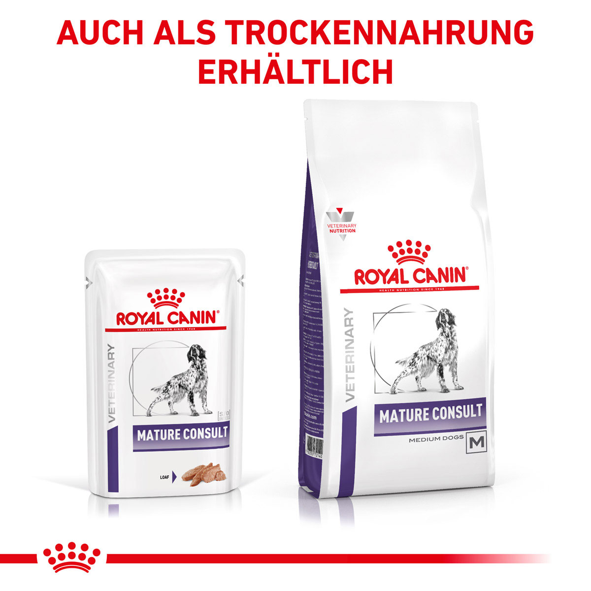 ROYAL CANIN Expert MATURE CONSULT Nassfutter für Hunde