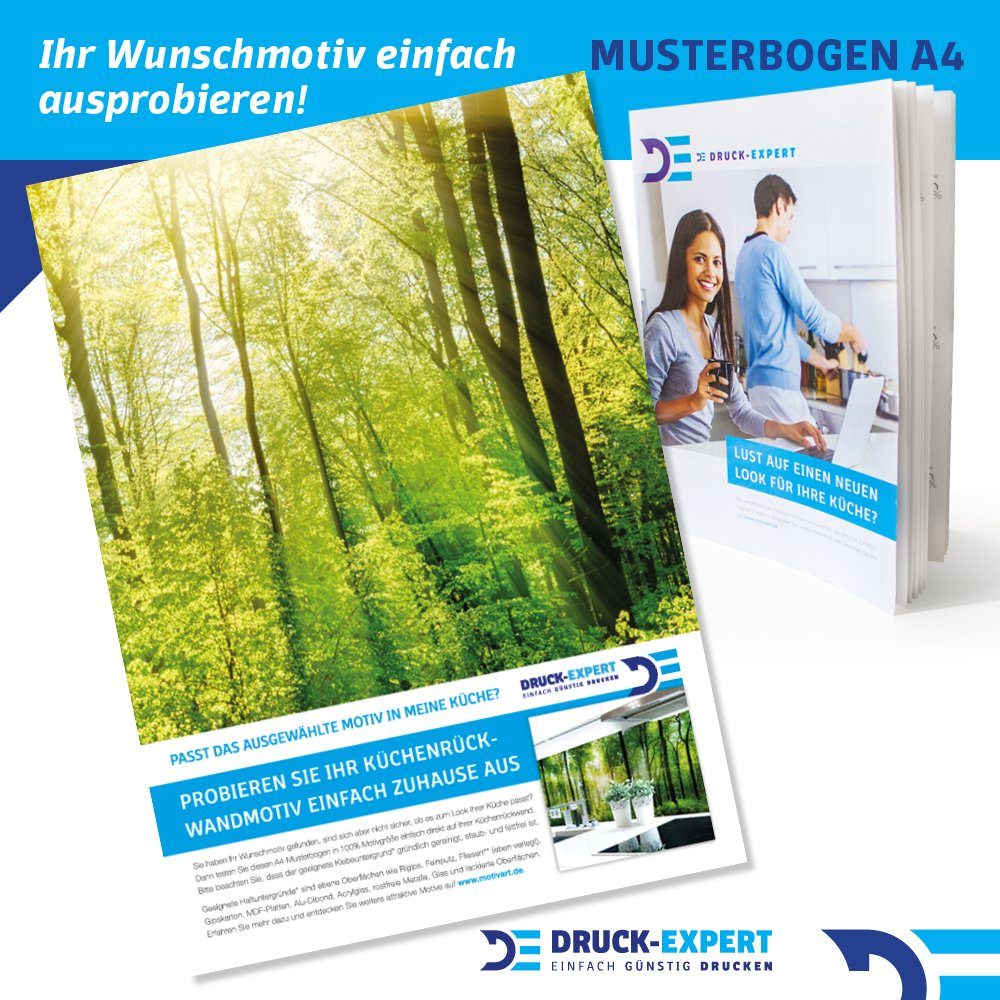 DRUCK-EXPERT Küchenrückwand Küchenrückwand Waldlichtung Premium Hart-PVC 0,4 mm selbstklebend