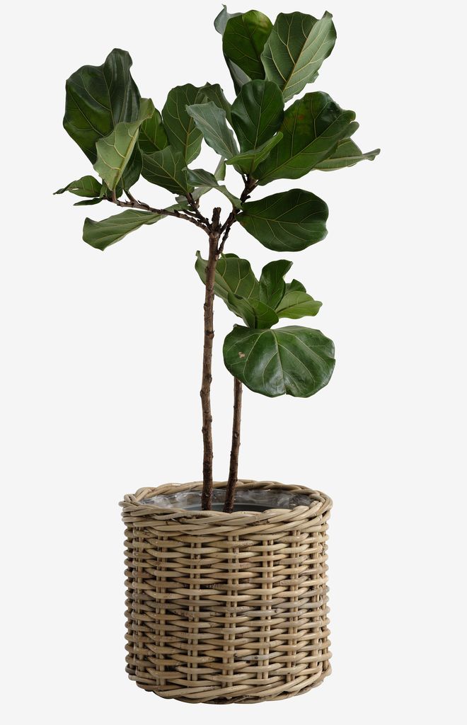 SEGLA SEGLA Korbblumentopf Ø50xH45 natürliches Rattan