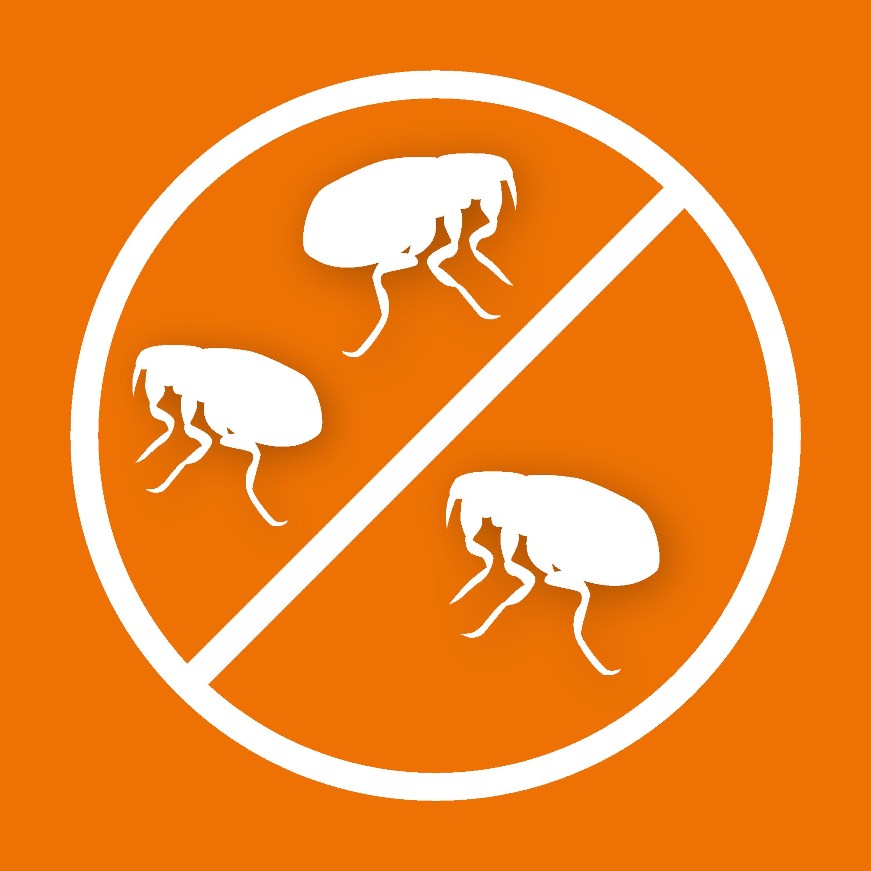 Ardap Insektenspray ARDAP® Flohspray zur Anwendung am Tier 250ml