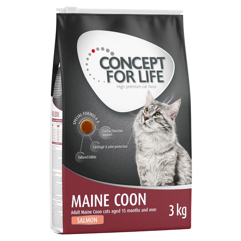 Sparpaket Concept for Life zu TOP-Preisen