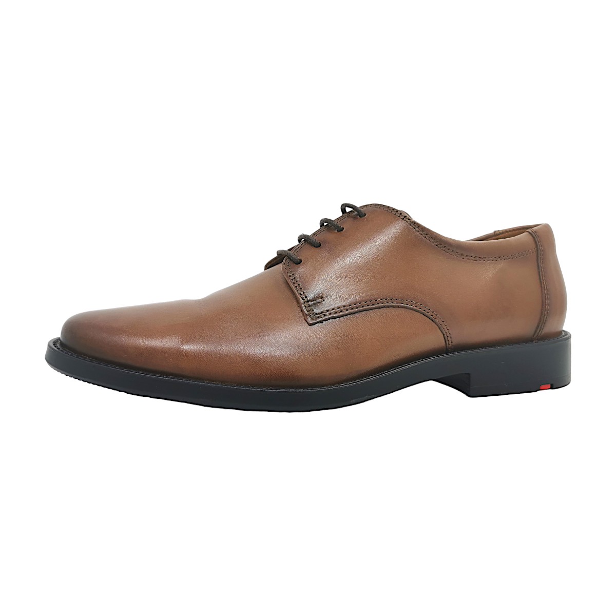 Lloyd Nevio 1401904 Braun 04 Noce