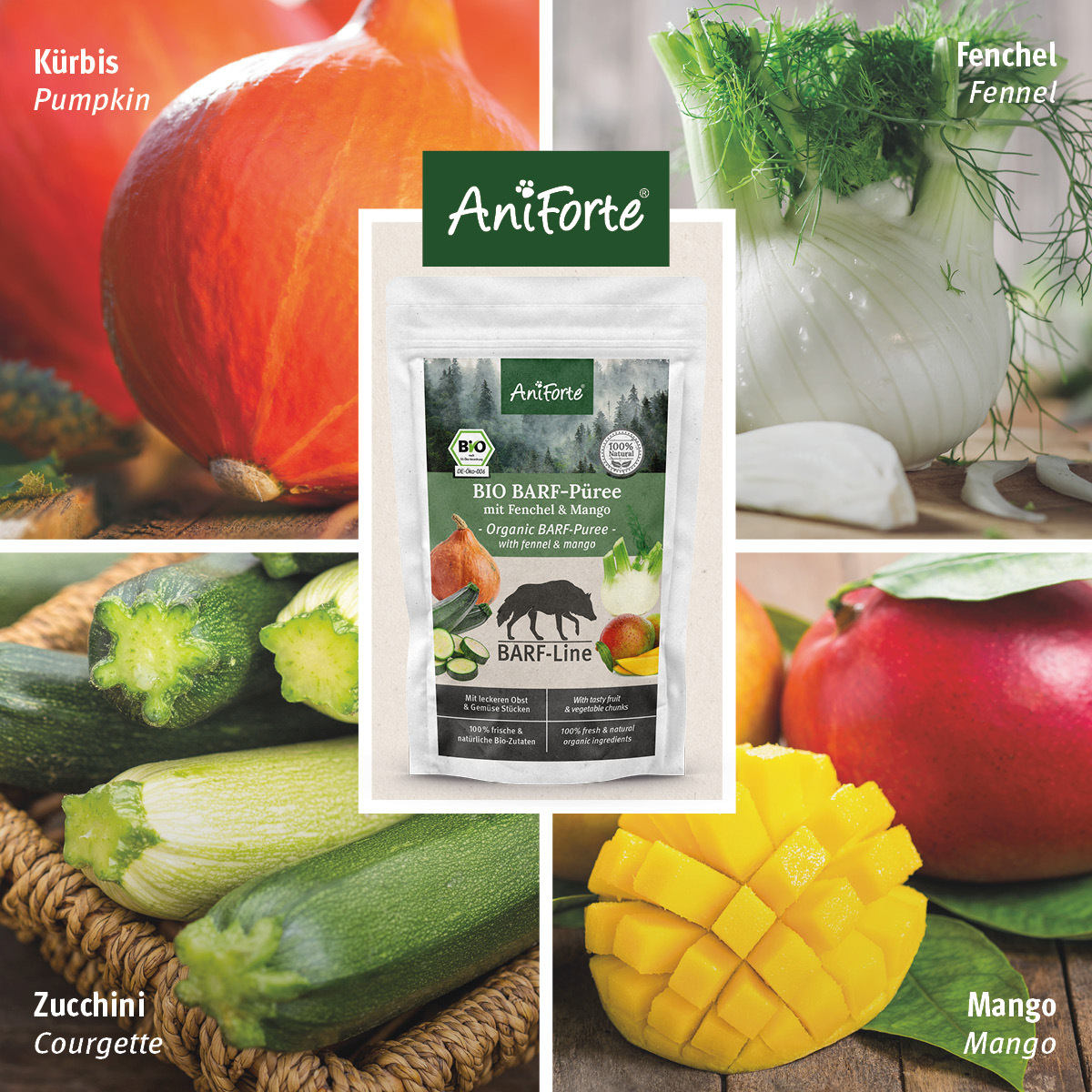 Aniforte Ergänzungsfutter & Aufzucht Aniforte BIO BARF Püree - Fenchel & Mango 5 x 150g