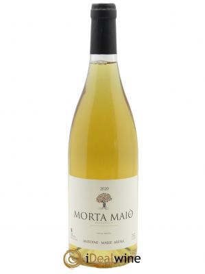 Vin de France Muscat Non muté Morta Maio Antoine Marie Arena  2020 - Lot de 1 Bouteille