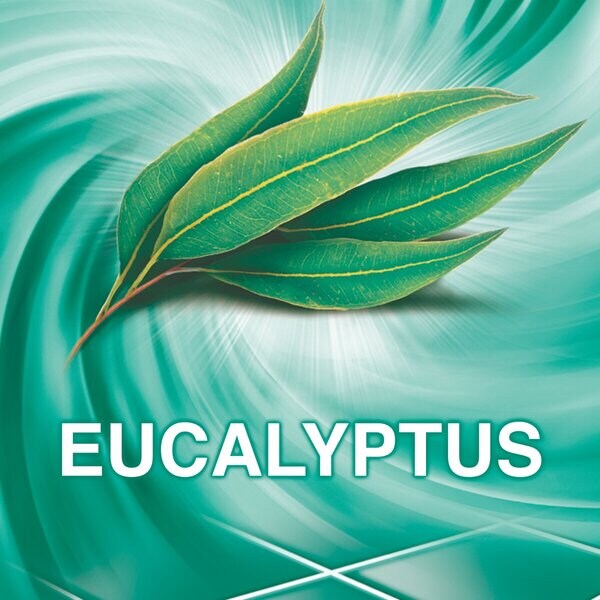 Ajax Eucalyptus All-Purpose Cleaner 1000ml