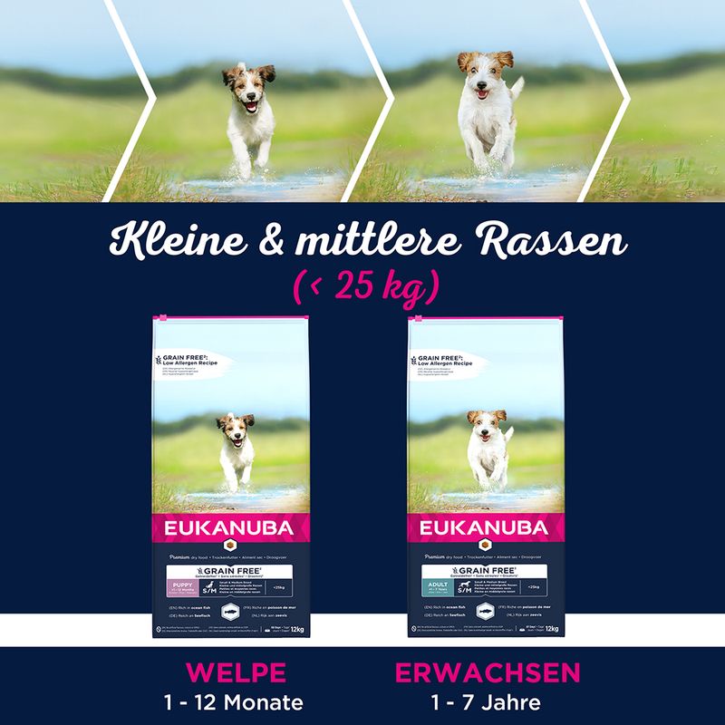 Eukanuba Grain Free Puppy Small / Medium Breed Lachs | bitiba %