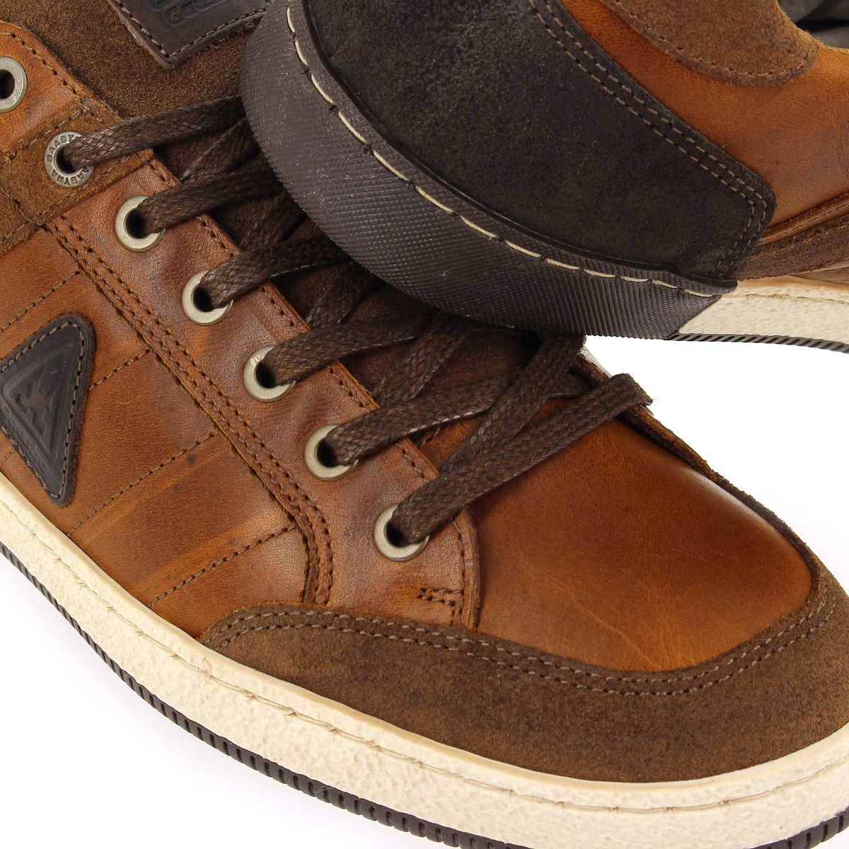 Gaastra  WILLIS - cognac marron