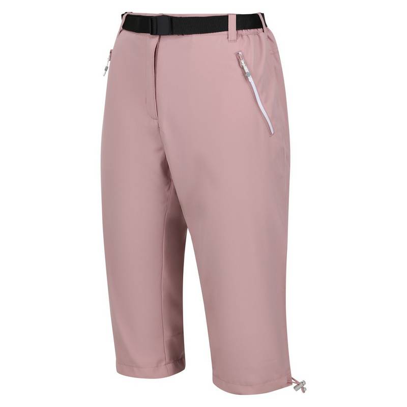 Regatta Xert Capri Wanderhose Damen