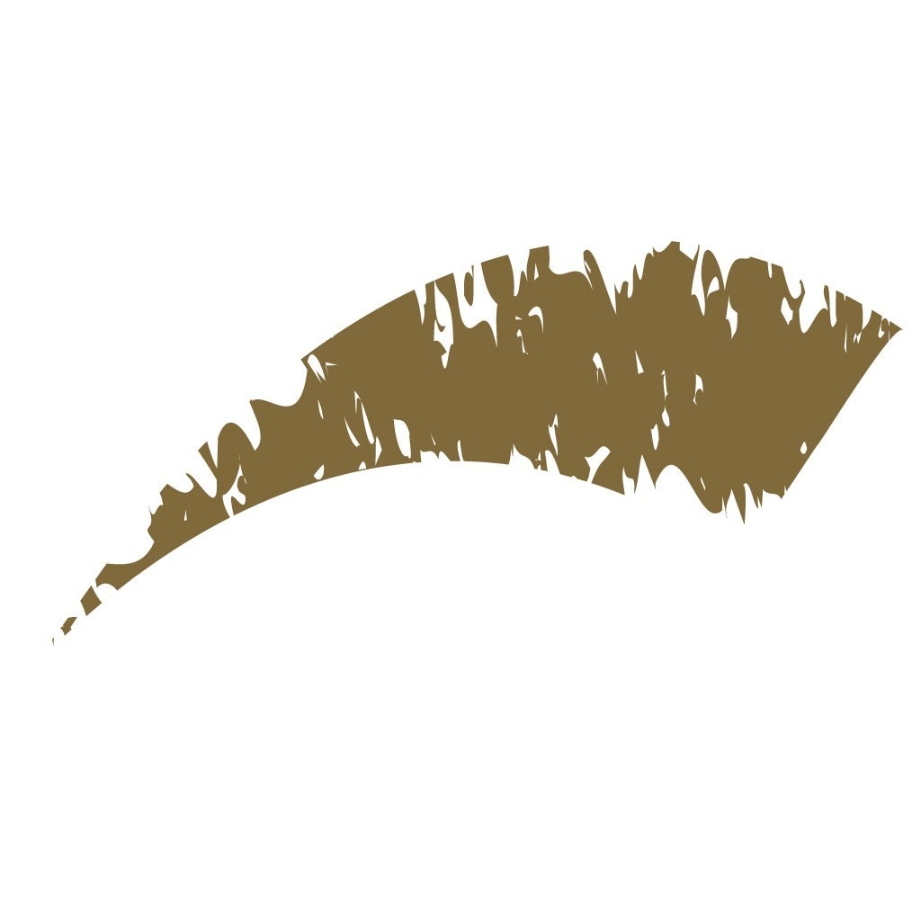 Mavala svijetla olovka