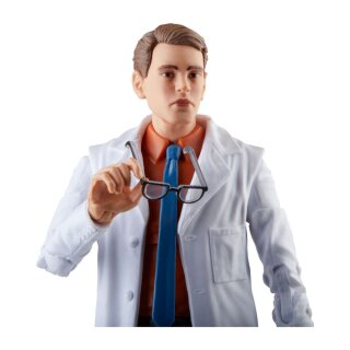 Avengers: Beyond Earth's Mightiest Marvel Legends Actionfiguren Gray Hulk & Dr. Bruce Banner 15 cm