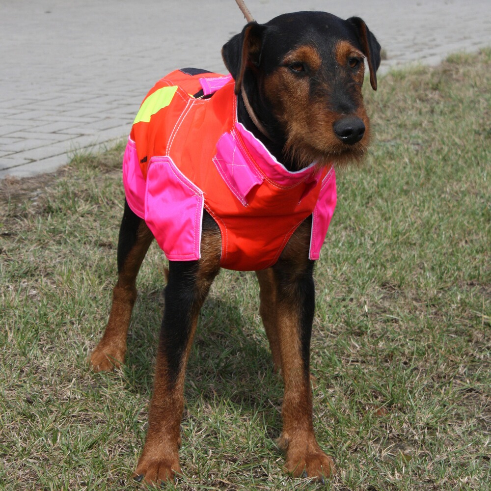 Out Dog Hundeschutzweste Standard