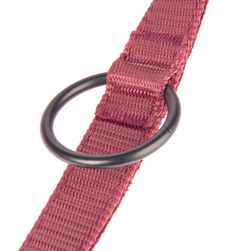 Nomad Tales Blush Hundeleine, rosé zu TOP-Preisen