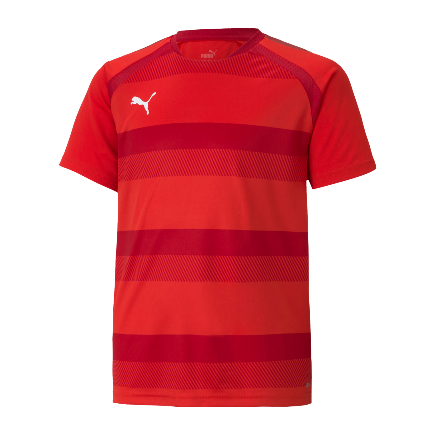 PUMA teamVISION Trikot Kids Rot F01