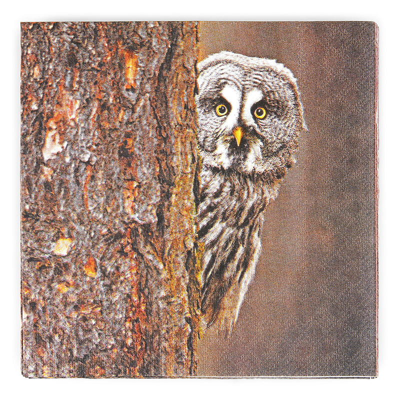 Vie Eco Servietter 20-pk 33x33 cm