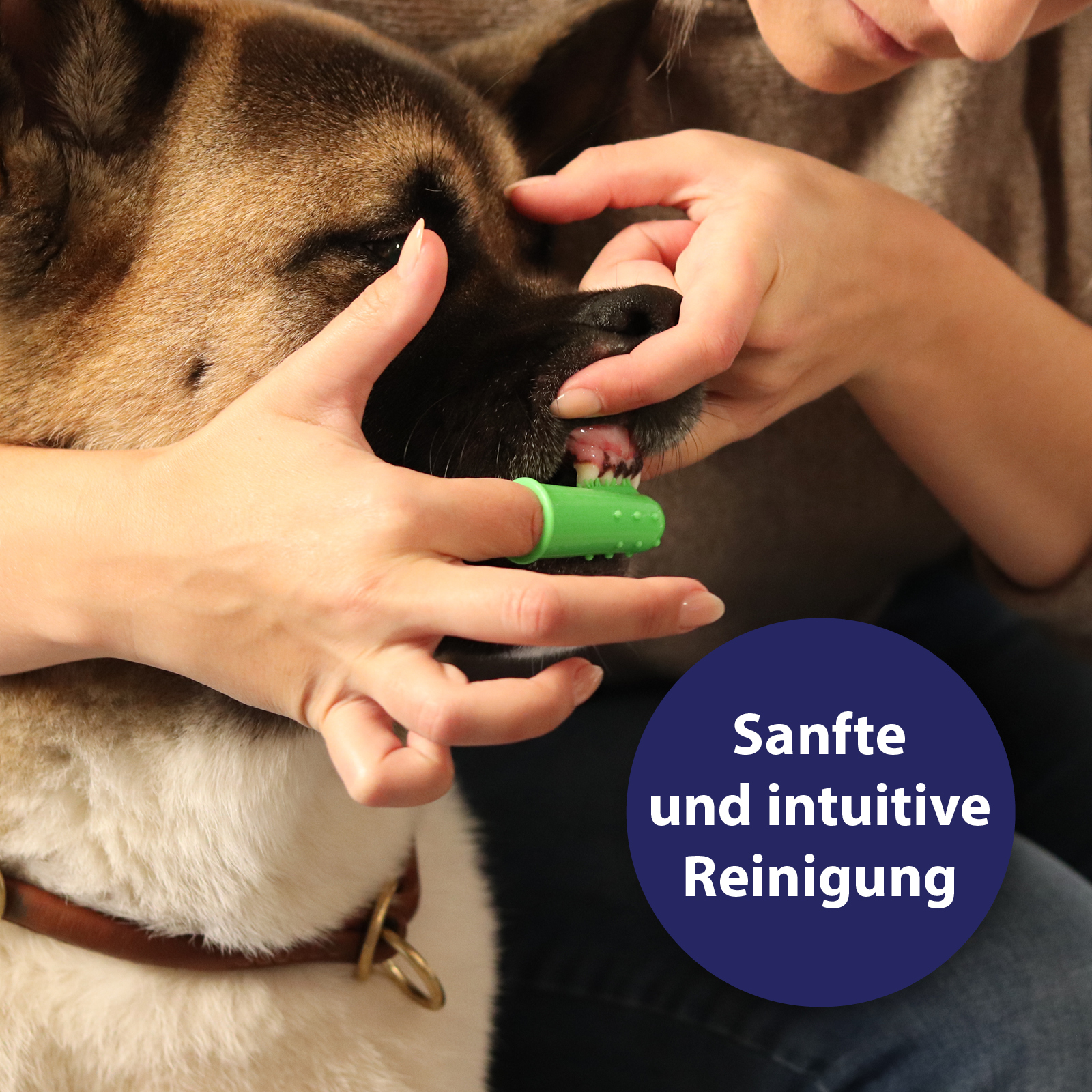 Canosept Zahnpflege Canosept 3x Zahnpflege Finger-Bürsten