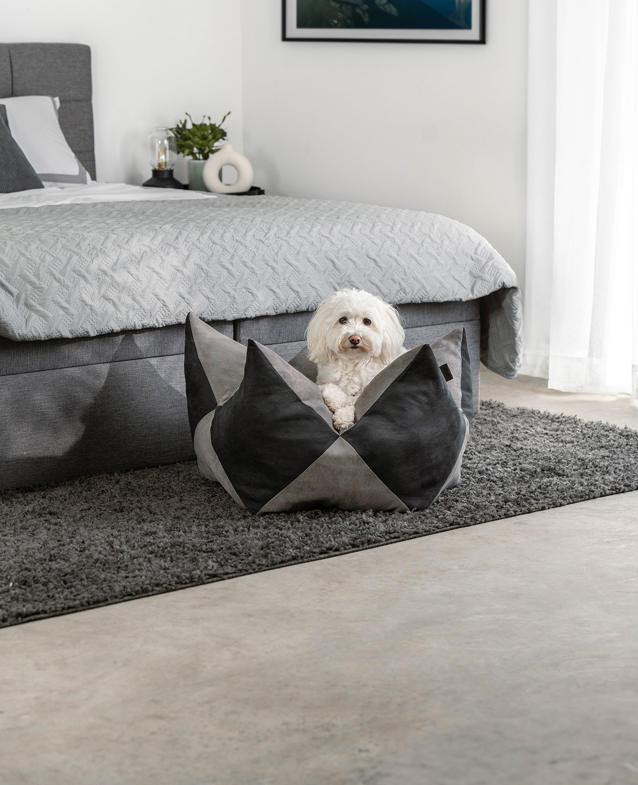 Lionto Hundebetten Lionto Hundebett - Kronenkissen grau/ schwarz M
