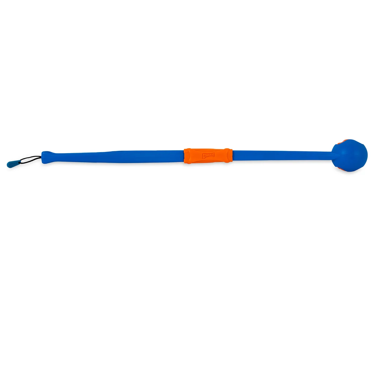 Chuckit! Fetch & Fold günstig kaufen bei ZooRoyal