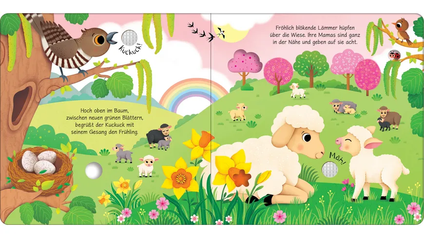 Klänge der Natur: Wie klingen die Jahreszeiten? Soundbuch mit echten Naturgeräuschen