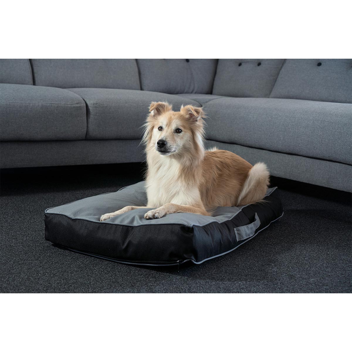 ZooRoyal Outdoor Hundekissen Tico günstig kaufen