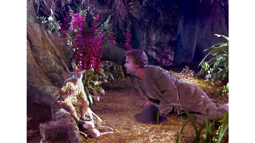 Das kalte Herz (1950) (Filmjuwelen / DEFA-Märchen)
