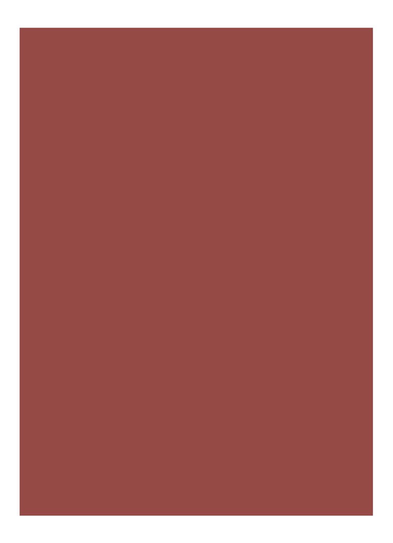 Bobbi Brown Luxe -huulipuna