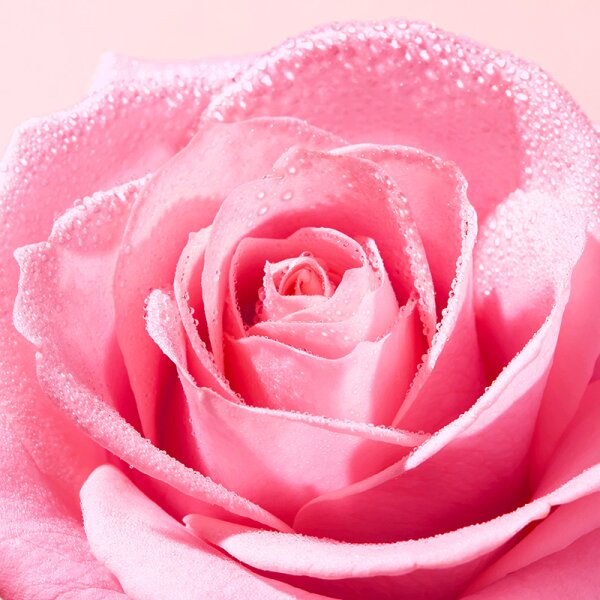 Nuxe Very Rose Peeling-Lotion Gesicht Gesichtspeeling