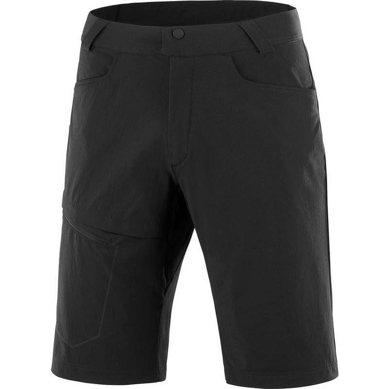Salomon Wayfarer Funktionsshorts Herren