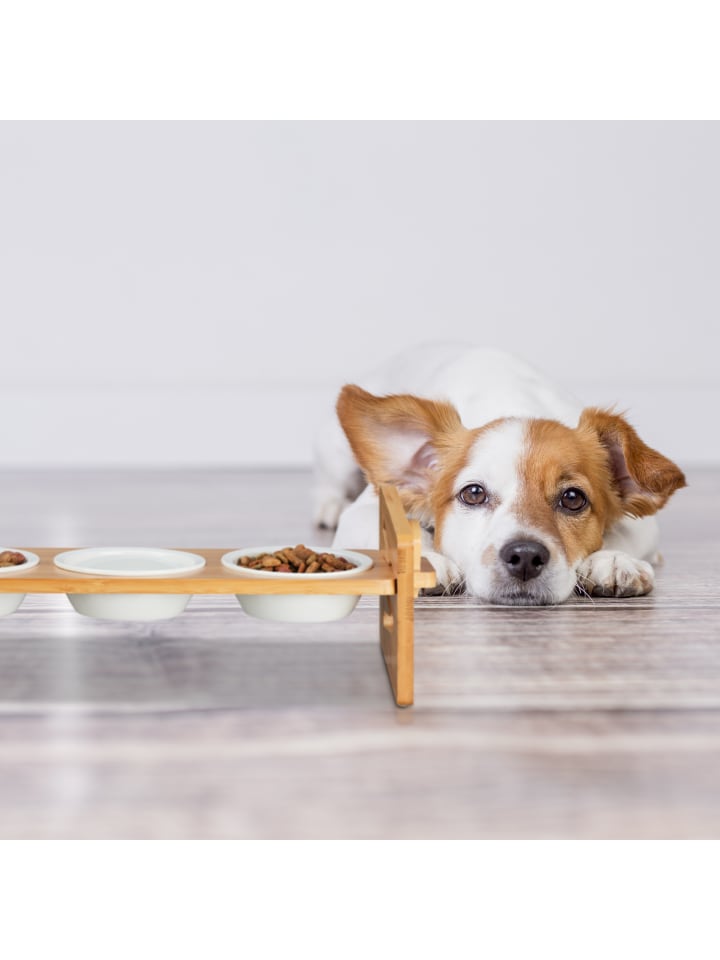 relaxdays Futterstation Hunde in Natur/ Weiß - (B)54 x (H)16,5 x (T)16 cm günstig kaufen onesize