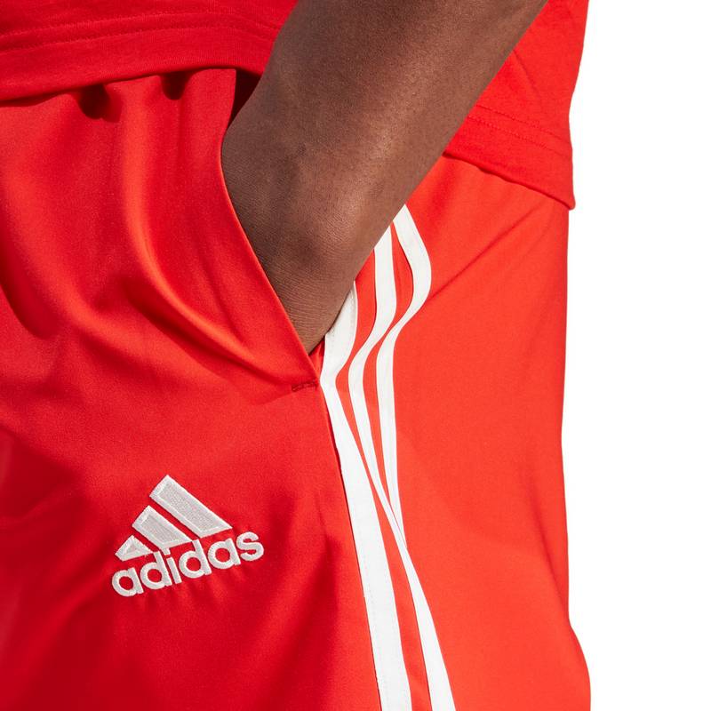 adidas FC Bayern München Sweatshorts Herren