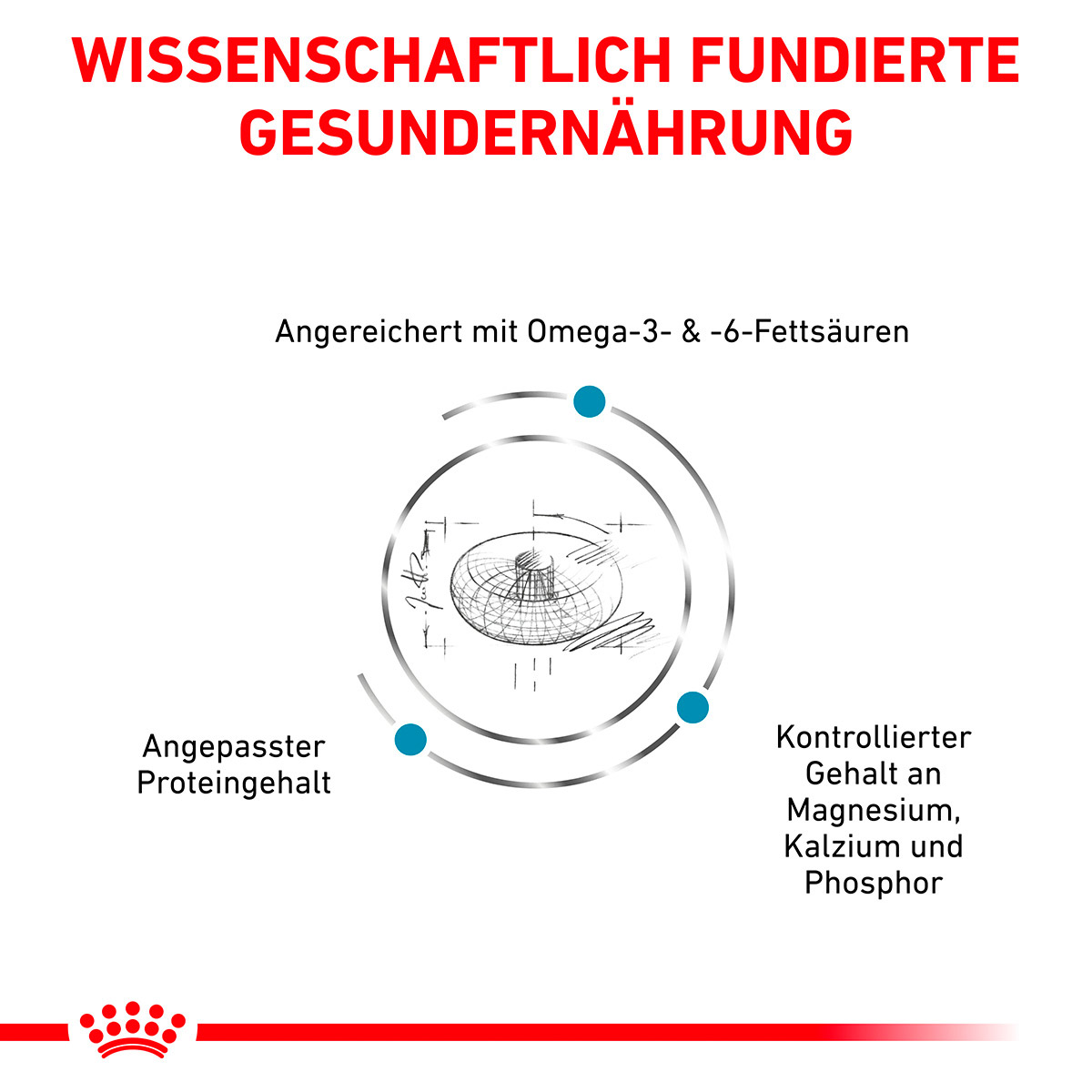 ROYAL CANIN Veterinary SKIN & COAT Trockenfutter für Katzen