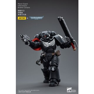 Warhammer 40k Actionfigur: Raven Guard Intercessors - Brother Colvane